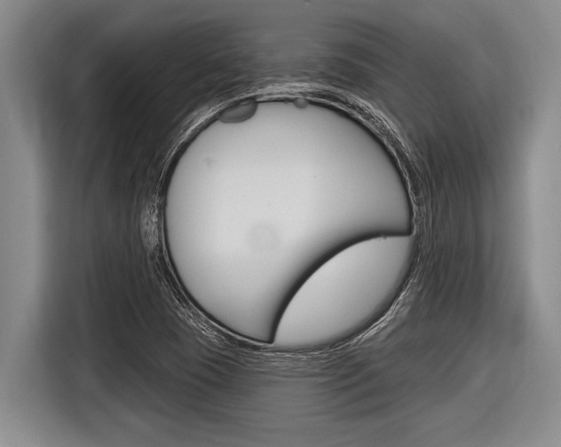 X0000116831409200912181045