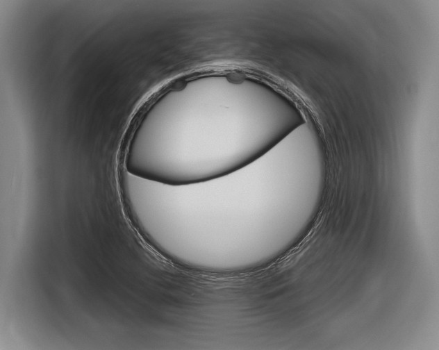 X0000116831412200912181045