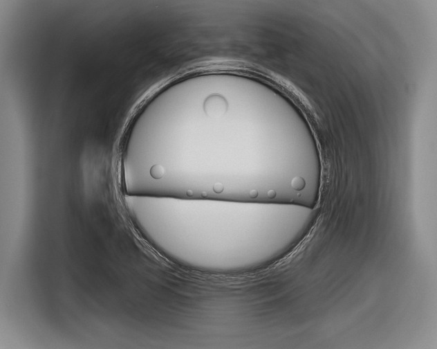 X0000116831413200912181045