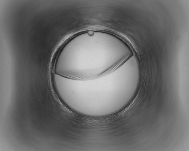 X0000116831414200912181045
