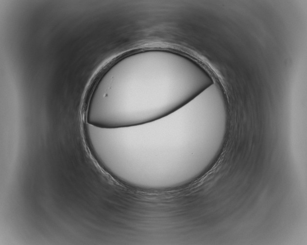 X0000116831416200912181045