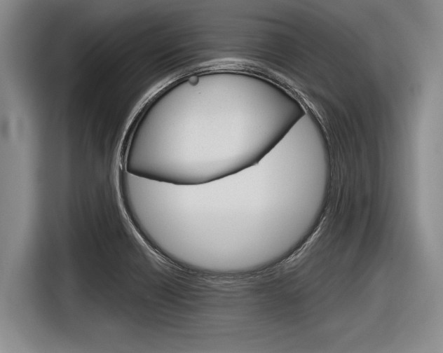 X0000116831418200912181045