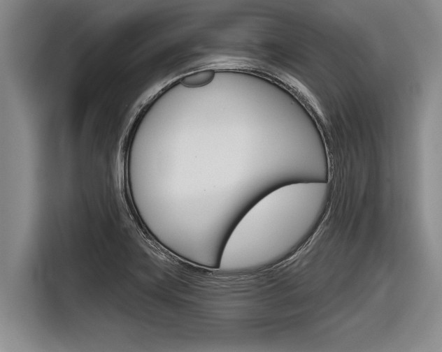 X0000116831419200912181045