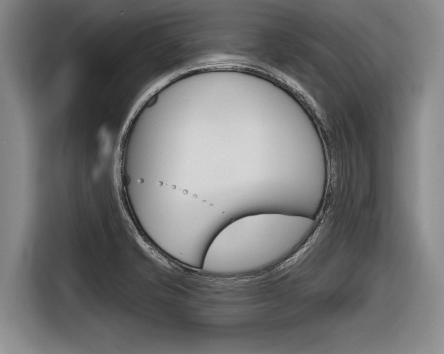 X0000116831421200912181045