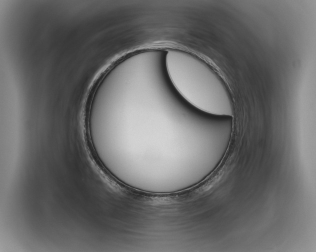 X0000116831422200912181045