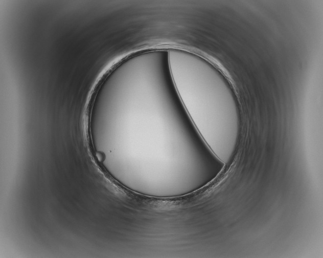 X0000116831424200912181045