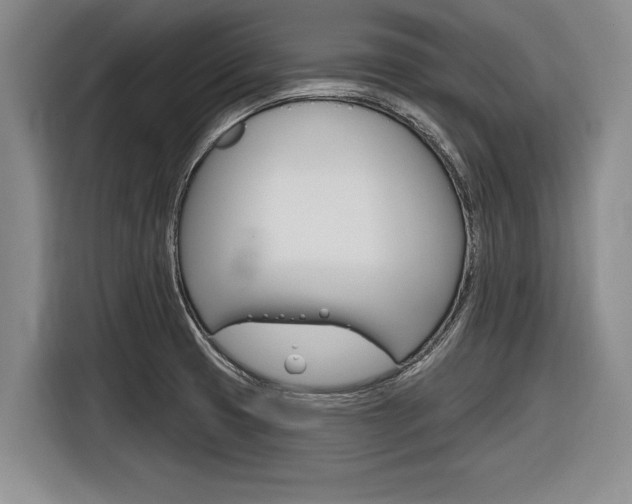 X0000116831425200912181045