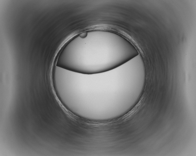 X0000116831426200912181045