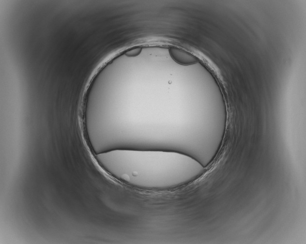 X0000116831429200912181045