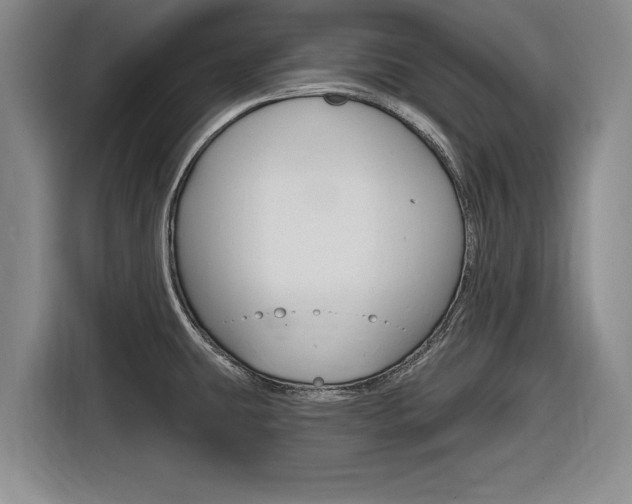 X0000116831431200912181045