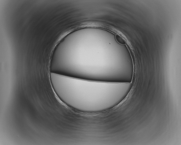 X0000116831433200912181045