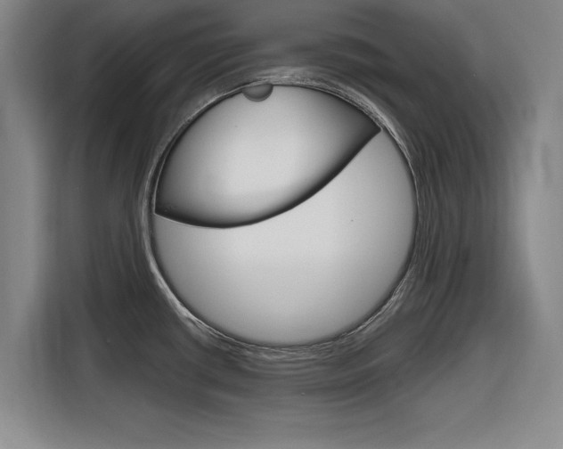 X0000116831434200912181045