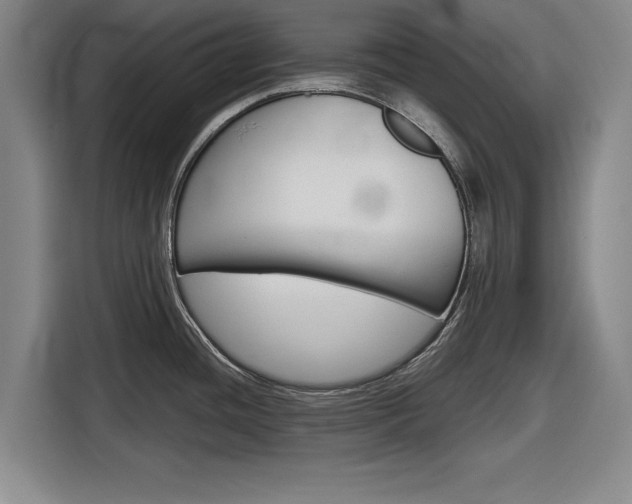 X0000116831436200912181045