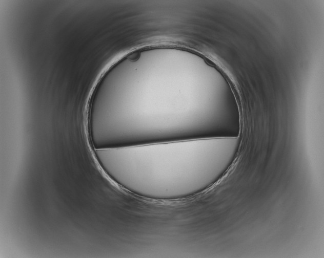 X0000116831437200912181045