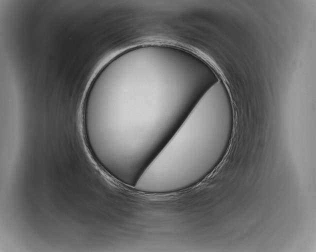 X0000116831440200912181045