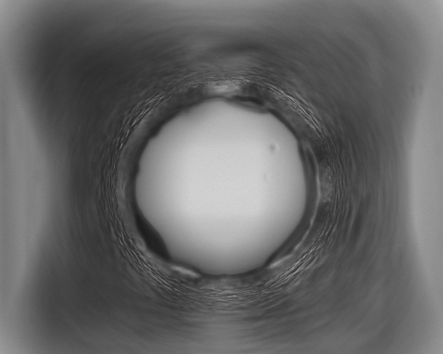 X0000116831441200912181045
