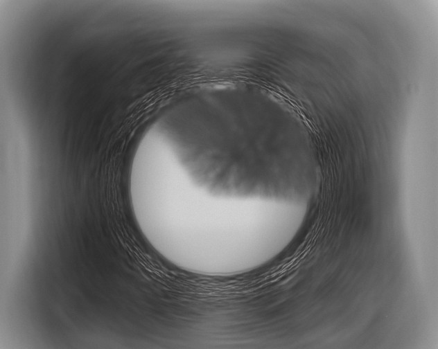 X0000116831442200912181045