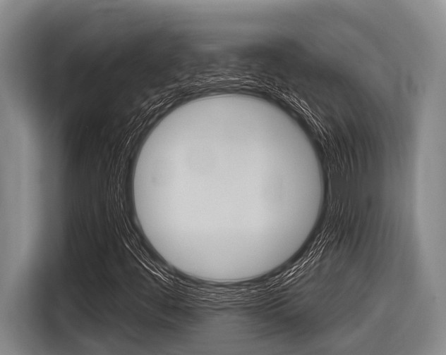 X0000116831444200912181045