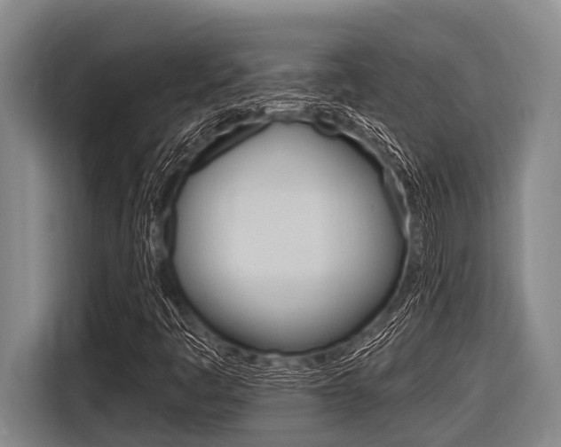 X0000116831445200912181045
