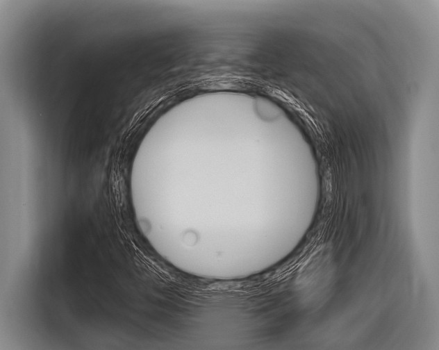 X0000116831446200912181045