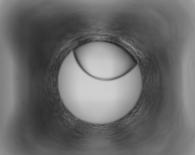 X0000116831447200912181045