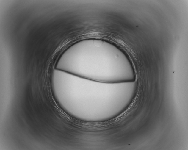 X0000116831450200912181045