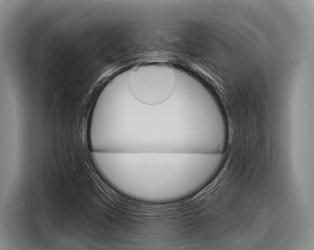 X0000116831451200912181045