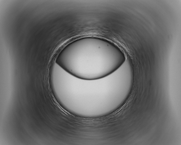 X0000116831452200912181045