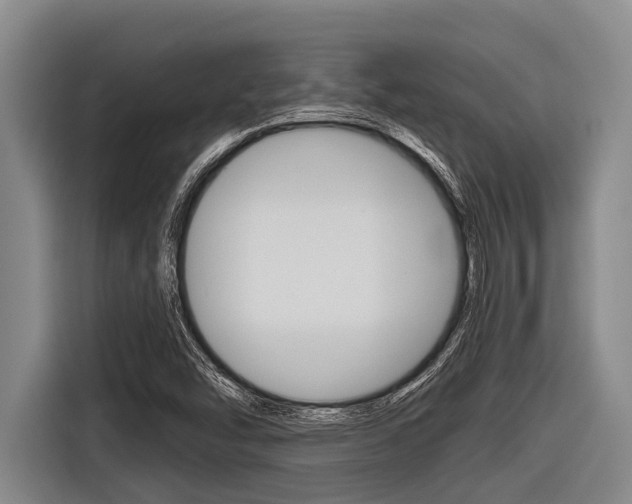 X0000116831454200912181045