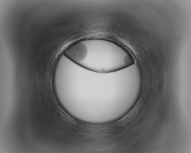 X0000116831455200912181045
