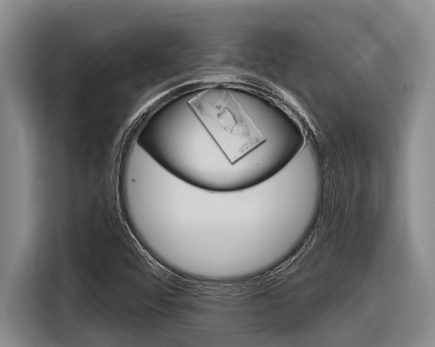 X0000116831456200912181044