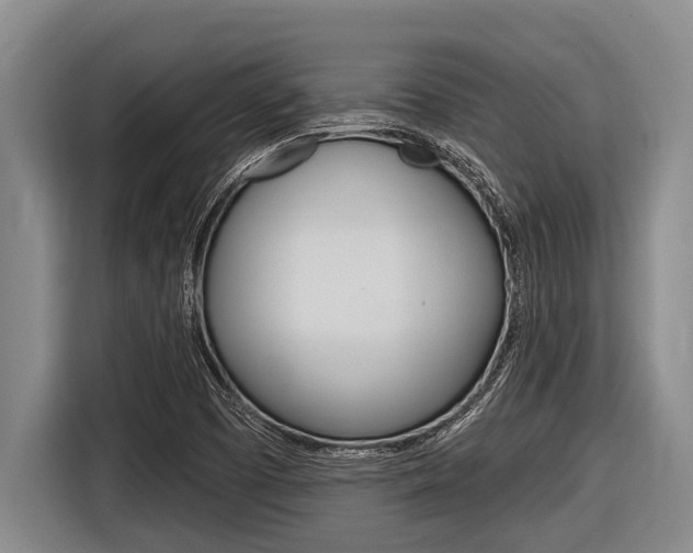 X0000116831457200912181044