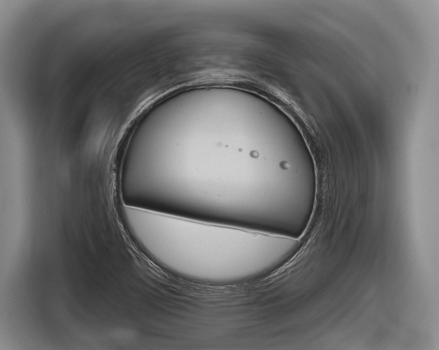 X0000116831459200912181044
