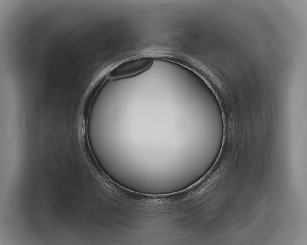 X0000116831461200912181044
