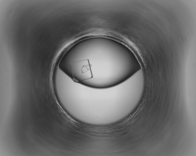 X0000116831464200912181044