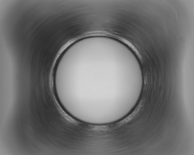 X0000116831466200912181044