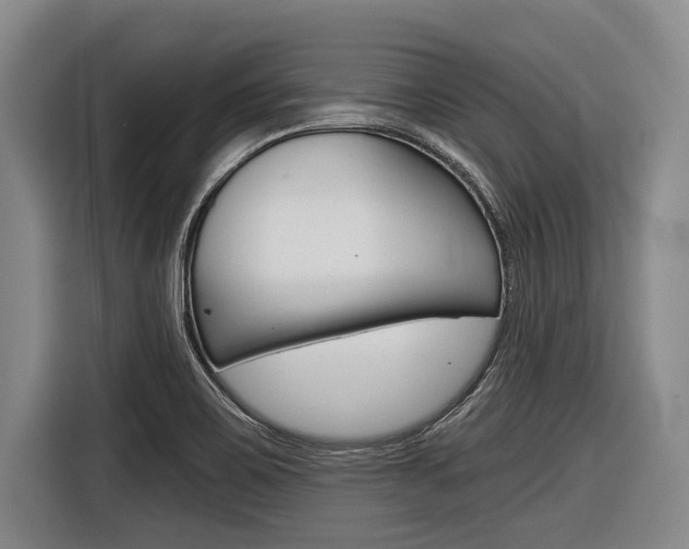X0000116831467200912181044