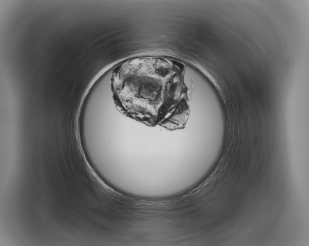 X0000116831468200912181044