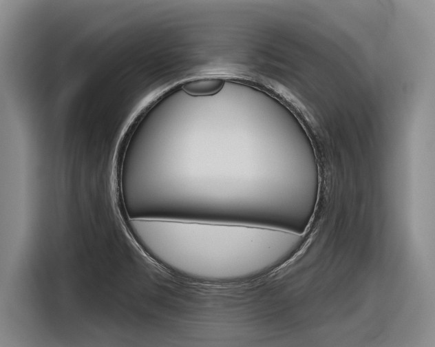 X0000116831469200912181044