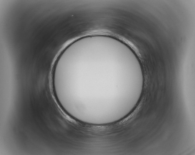 X0000116831470200912181044