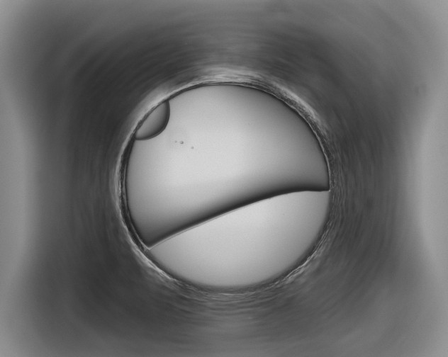 X0000116831471200912181044