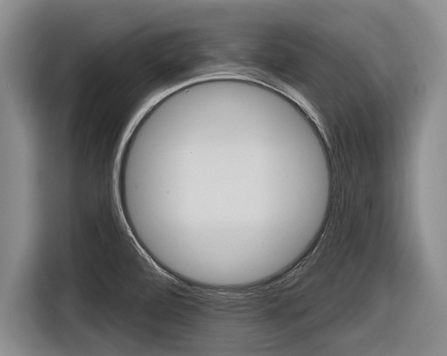 X0000116831472200912181044