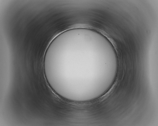 X0000116831473200912181044