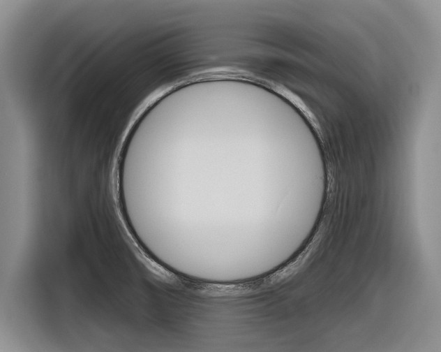 X0000116831474200912181044