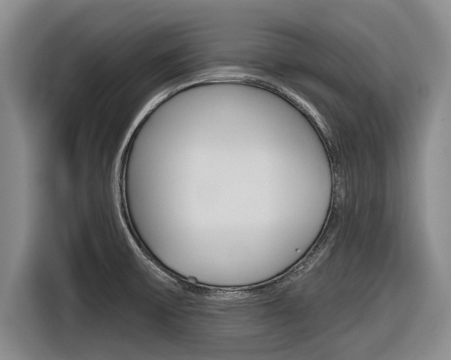 X0000116831475200912181044