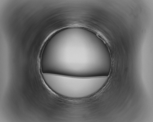 X0000116831476200912181044