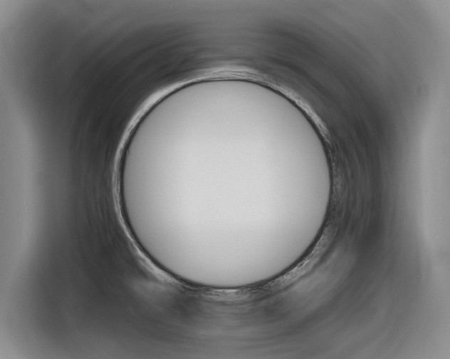 X0000116831478200912181044