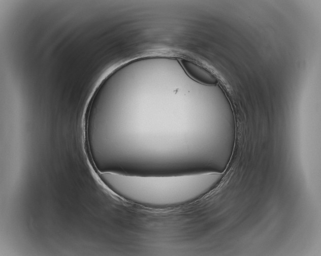 X0000116831479200912181044