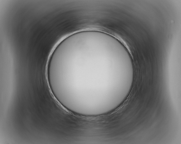 X0000116831480200912181044