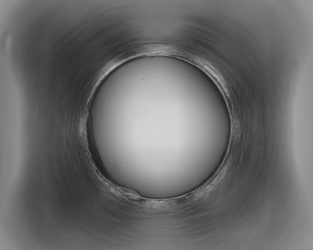 X0000116831481200912181044